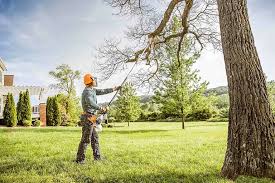 Best Commercial Tree Services  in Lake Marcel Stillter, WA